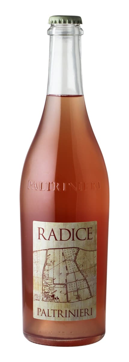 Paltrinieri Radice Lambrusco di Sorbara 2024