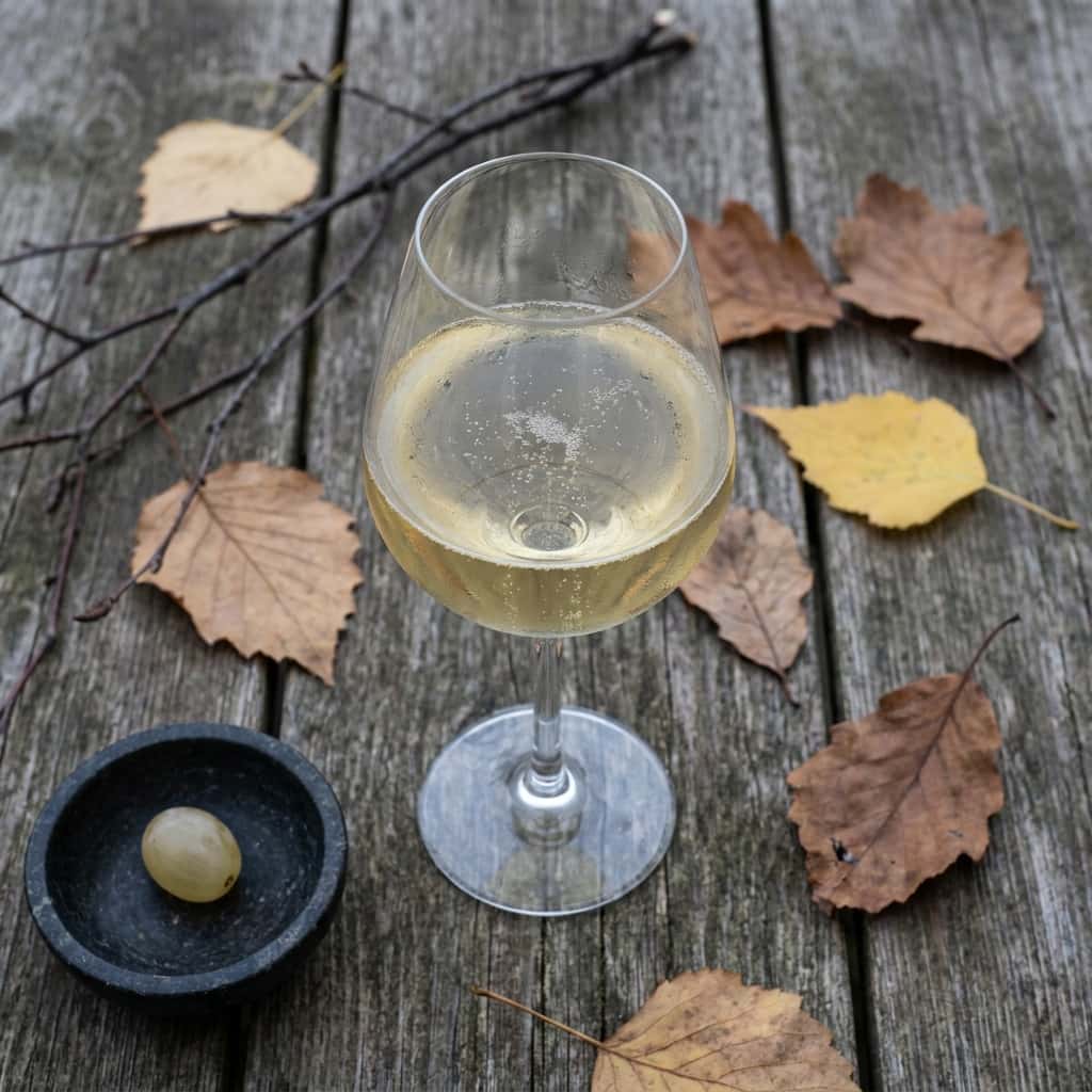Ett glas mousserande vin på en rustik träyta, omgiven av höstlöv, kvistar och en druva i en liten skål, fotograferat ovanifrån.