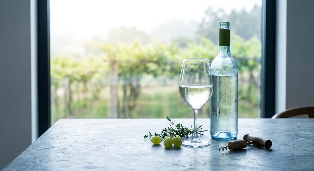 Grönklädda vinrankor på pergolakonstruktioner i Minho-regionen i Portugal, ljus sommardag med lätt dimma i bakgrunden